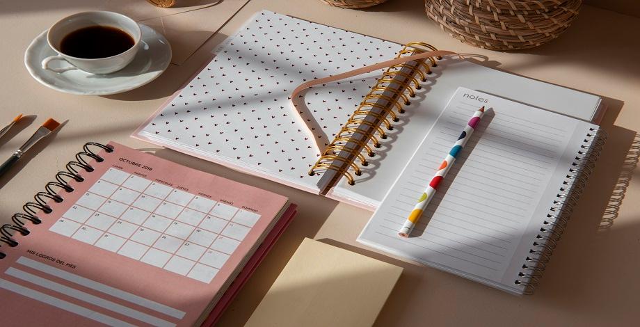 The Ultimate 45-Day Preparation Plan for NEET 2024